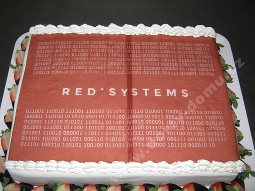 dort-firemni-red-systems.jpg